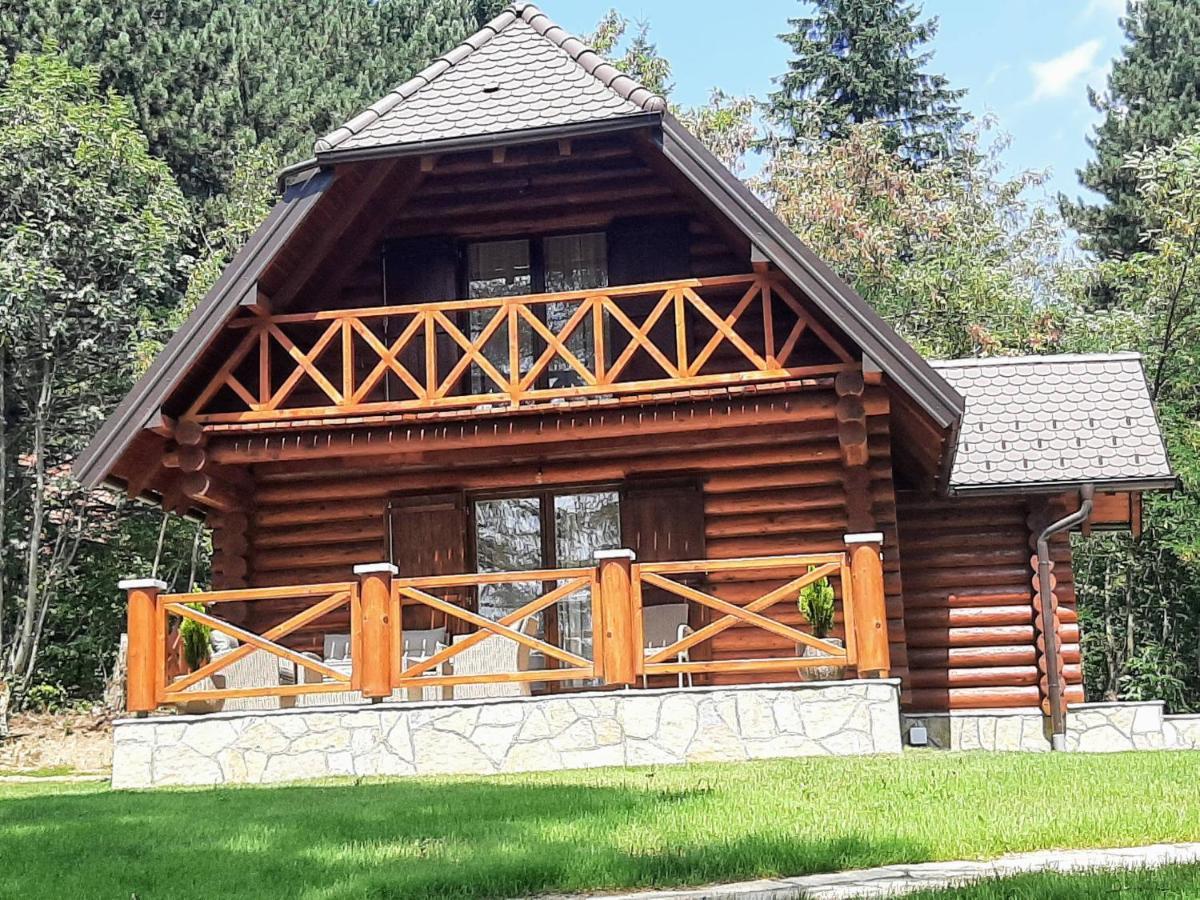 Villa Brvnare Park Borova Zlatibor Esterno foto