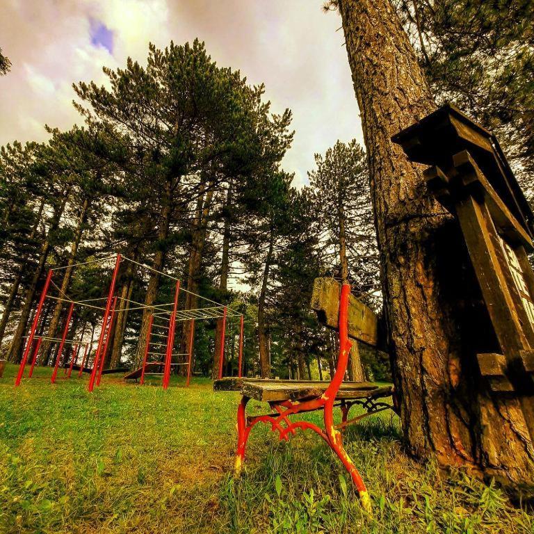 Villa Brvnare Park Borova Zlatibor Esterno foto