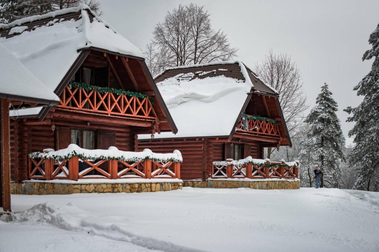 Villa Brvnare Park Borova Zlatibor Esterno foto