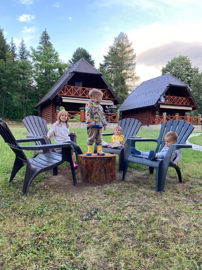 Villa Brvnare Park Borova Zlatibor Esterno foto