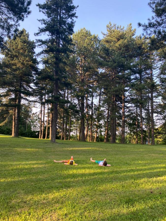 Villa Brvnare Park Borova Zlatibor Esterno foto